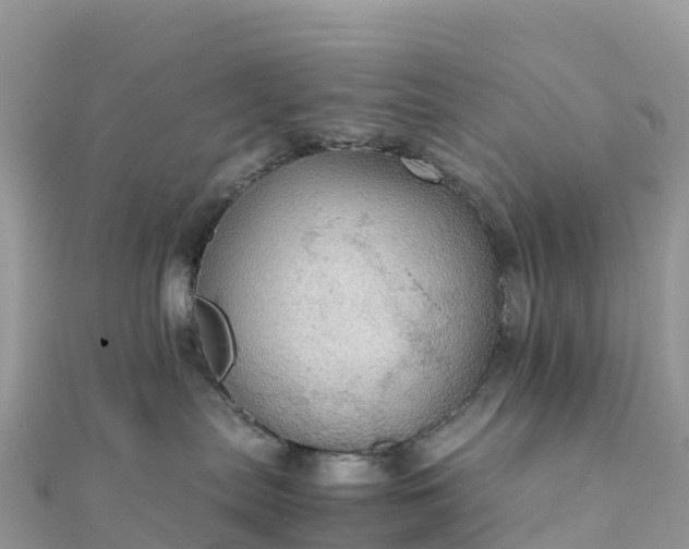 X0000111860287200907301138