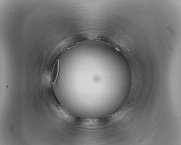 X0000111860288200907301138