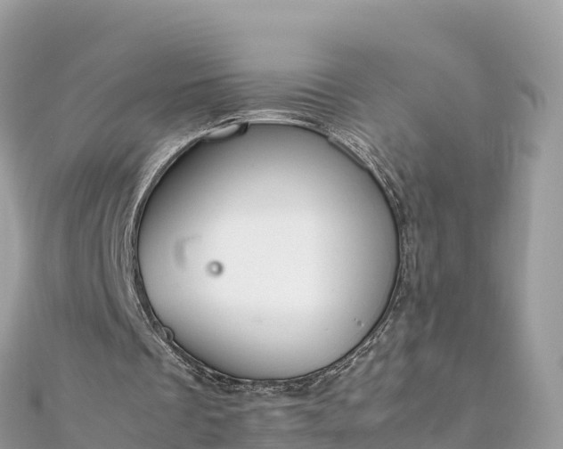 X0000111860289200907301137