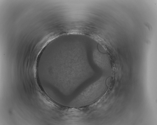 X0000111860290200907301137