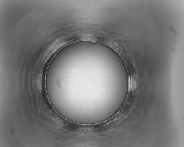 X0000111860291200907301137