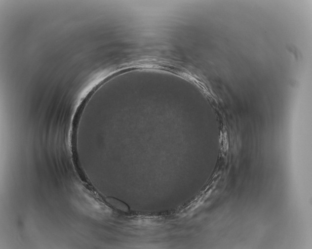 X0000111860292200907301137