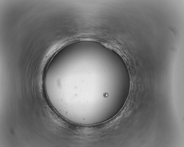 X0000111860293200907301137