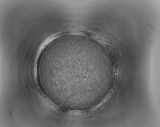 X0000111860294200907301137