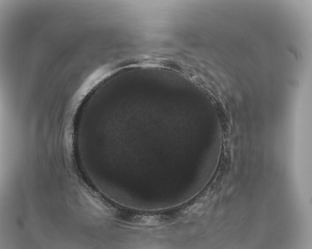 X0000111860295200907301137