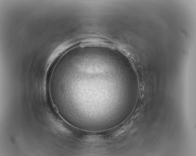 X0000111860296200907301137