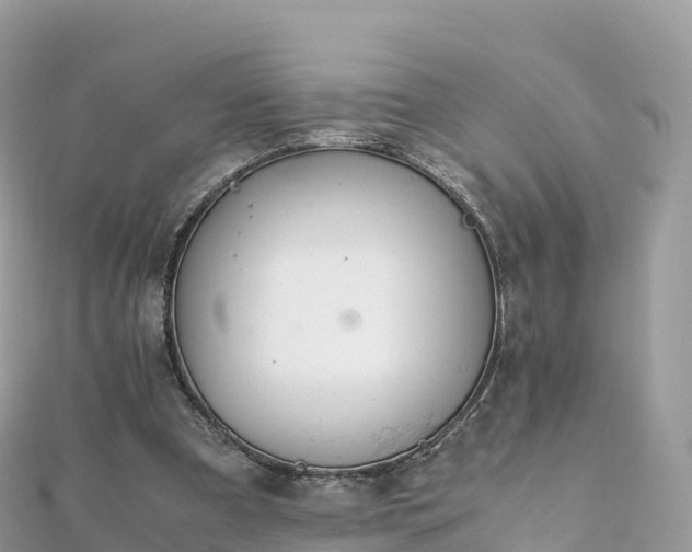 X0000111860297200907301137