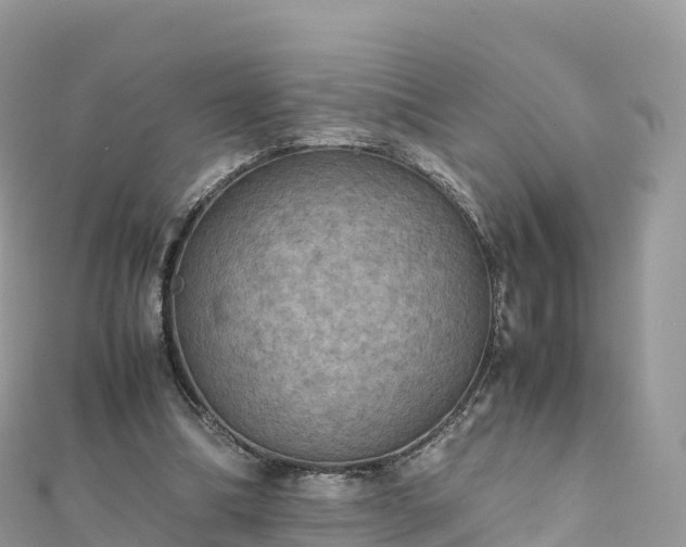 X0000111860298200907301137