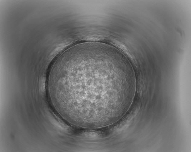 X0000111860299200907301137