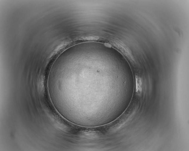 X0000111860300200907301137