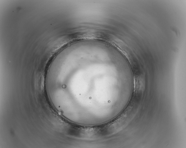 X0000111860301200907301137