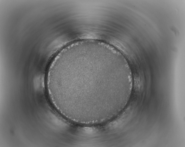 X0000111860302200907301137