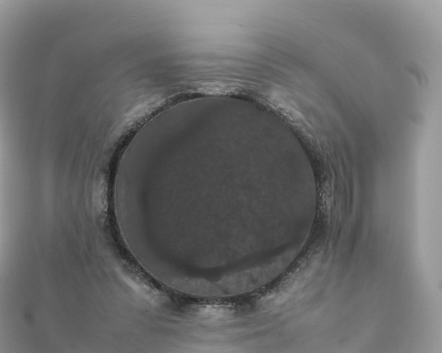 X0000111860303200907301137