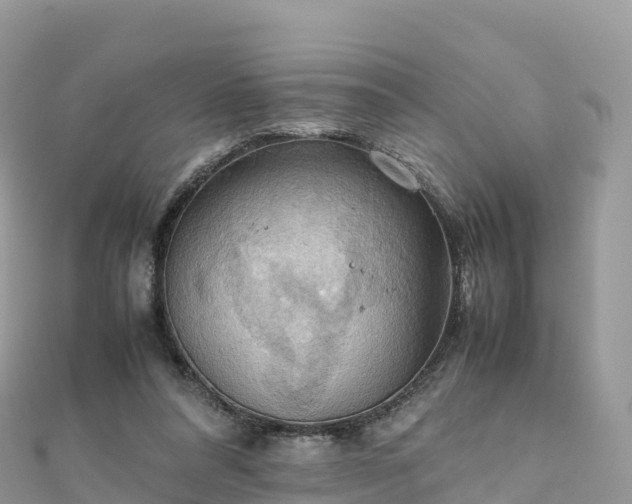 X0000111860304200907301137