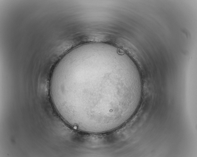 X0000111860305200907301137