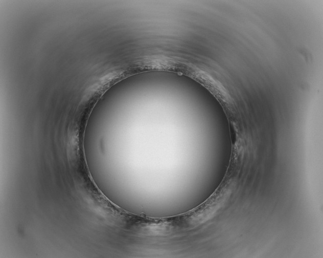 X0000111860306200907301137