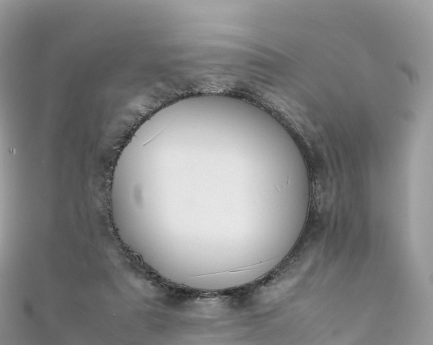 X0000111860307200907301137