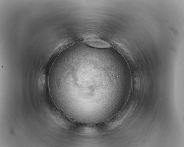 X0000111860308200907301137