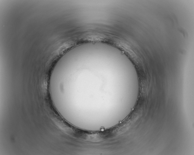 X0000111860309200907301137