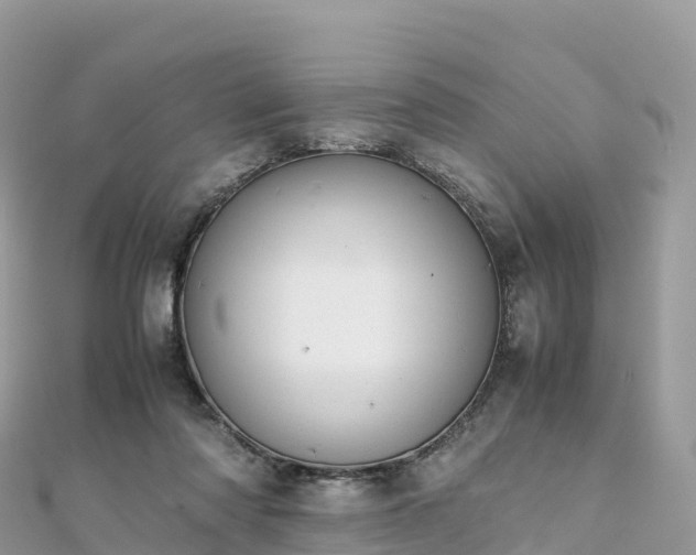 X0000111860310200907301137