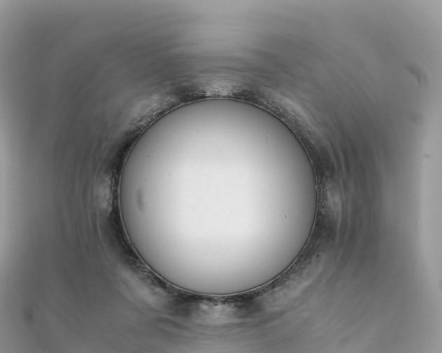 X0000111860311200907301137