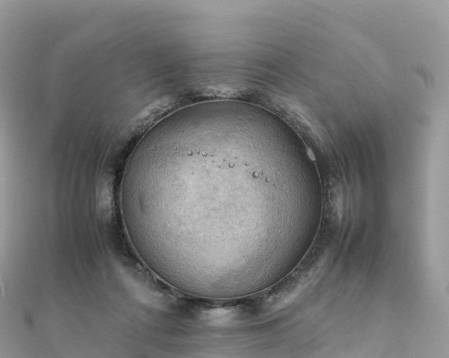 X0000111860312200907301137