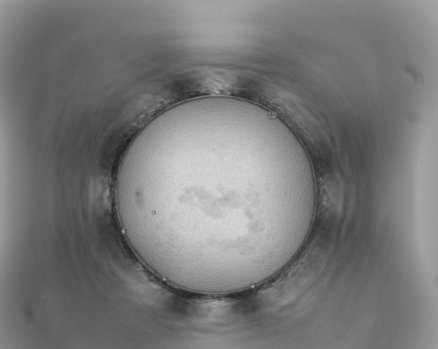 X0000111860313200907301137