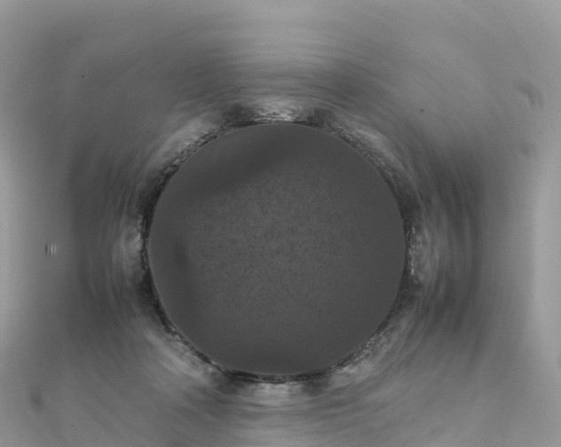 X0000111860314200907301137