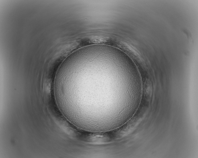 X0000111860315200907301137