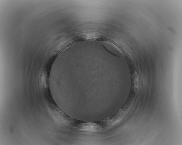 X0000111860316200907301137