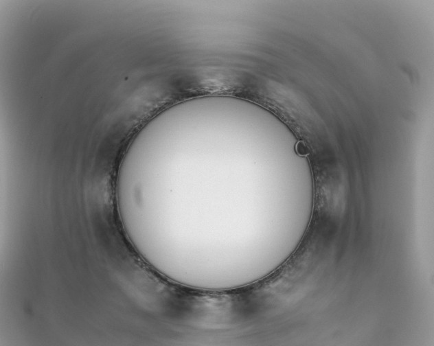 X0000111860317200907301137