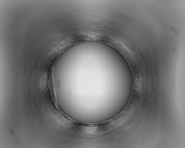 X0000111860318200907301137