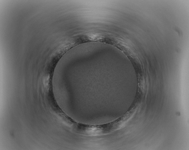 X0000111860319200907301137