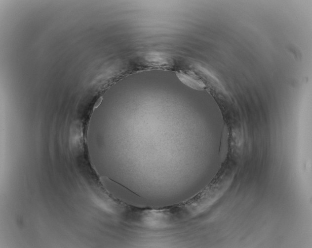 X0000111860320200907301137