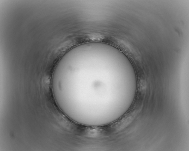 X0000111860321200907301137