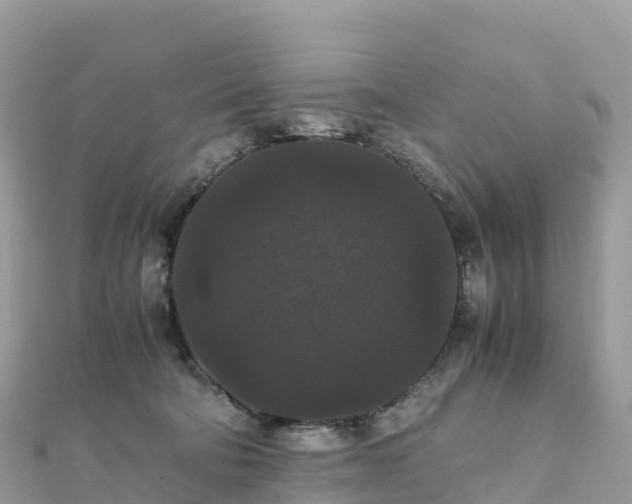 X0000111860322200907301137