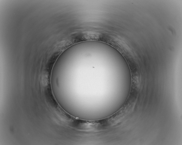 X0000111860323200907301137