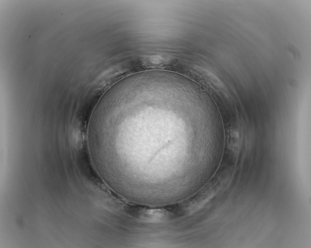 X0000111860324200907301137