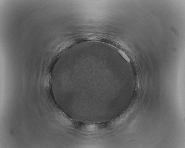 X0000111860325200907301137