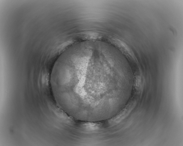 X0000111860326200907301137