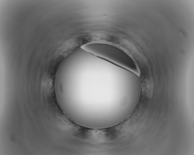 X0000111860327200907301137