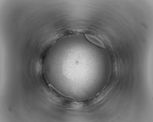 X0000111860328200907301137