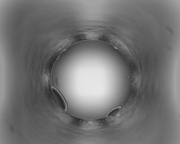 X0000111860329200907301137