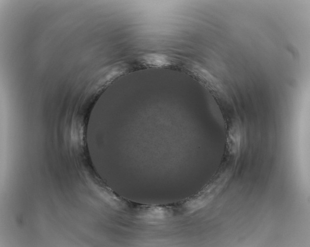 X0000111860330200907301137