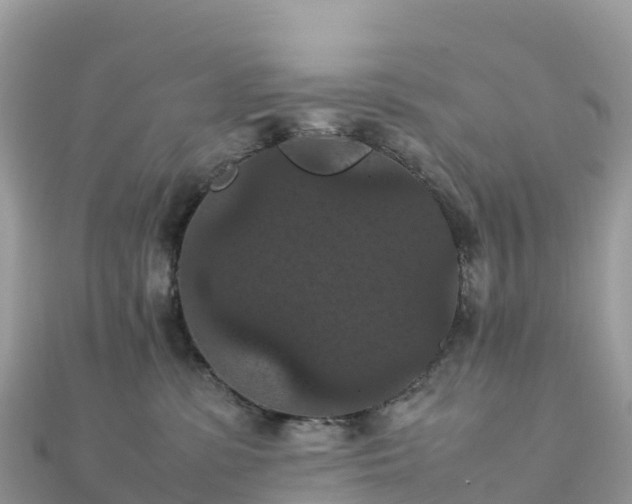 X0000111860331200907301137