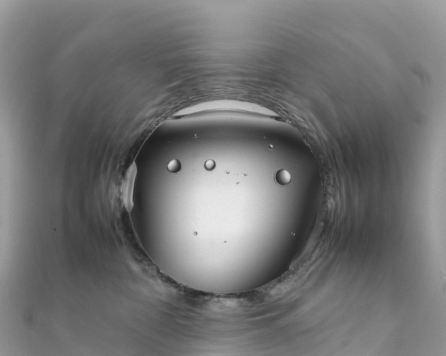 X0000111860332200907301137