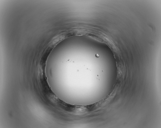 X0000111860333200907301137