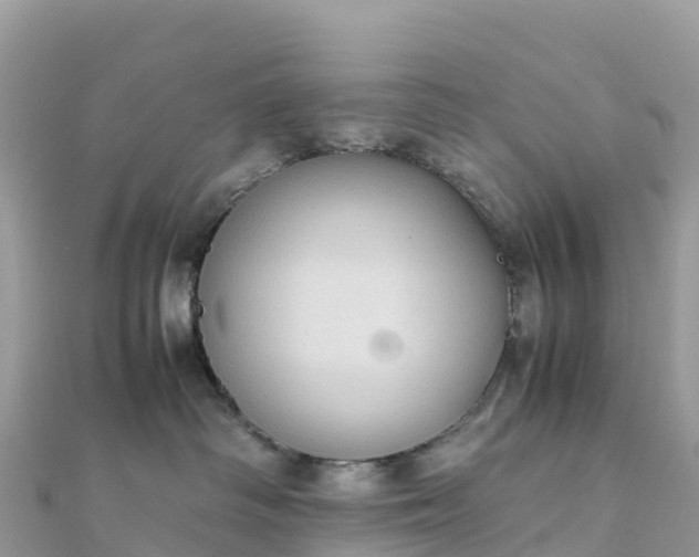 X0000111860334200907301137