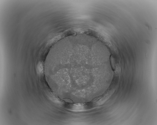 X0000111860335200907301137