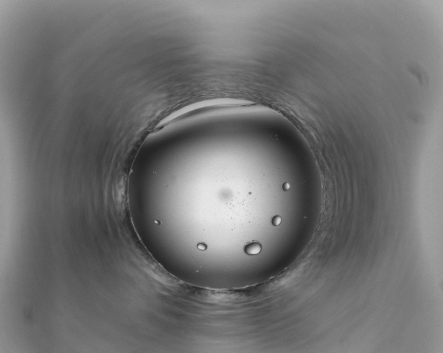 X0000111860336200907301137